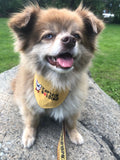 "Captain SPawlding" Pet Bandana
